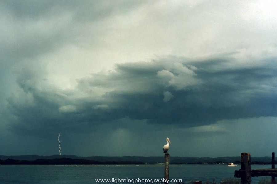 Lightning Image 1995122813