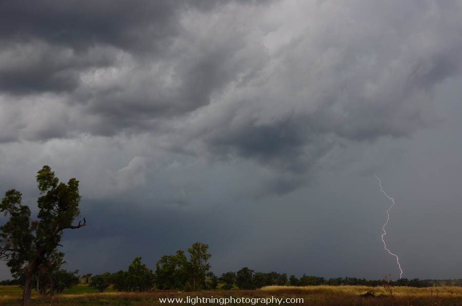 Lightning Image 20110103043