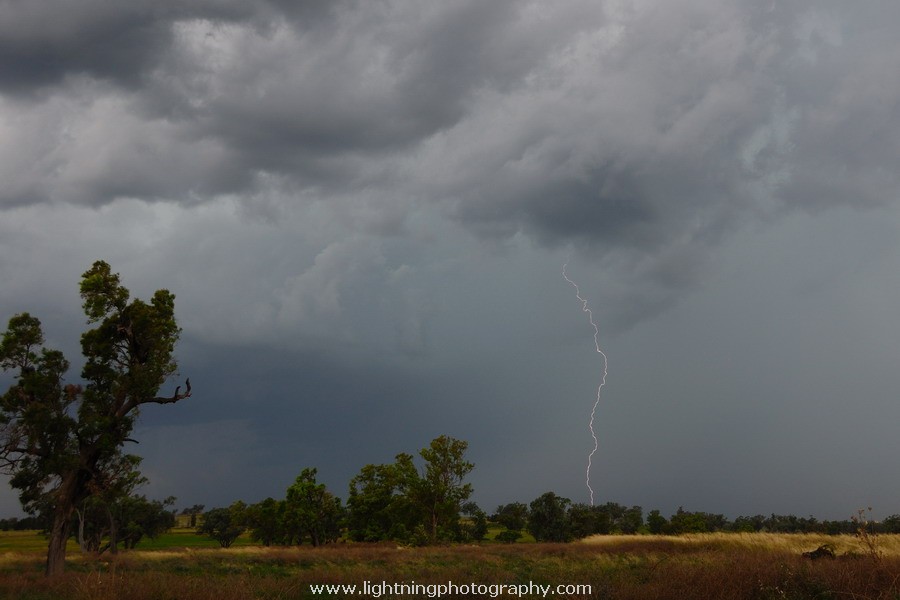 Lightning Image 20110103044